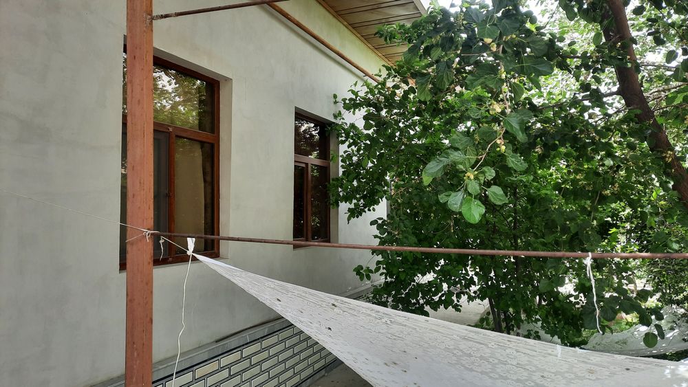 Ховли гулистон 3