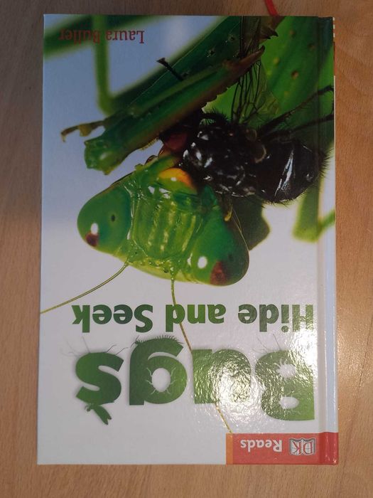 Bugs Hide And Seek