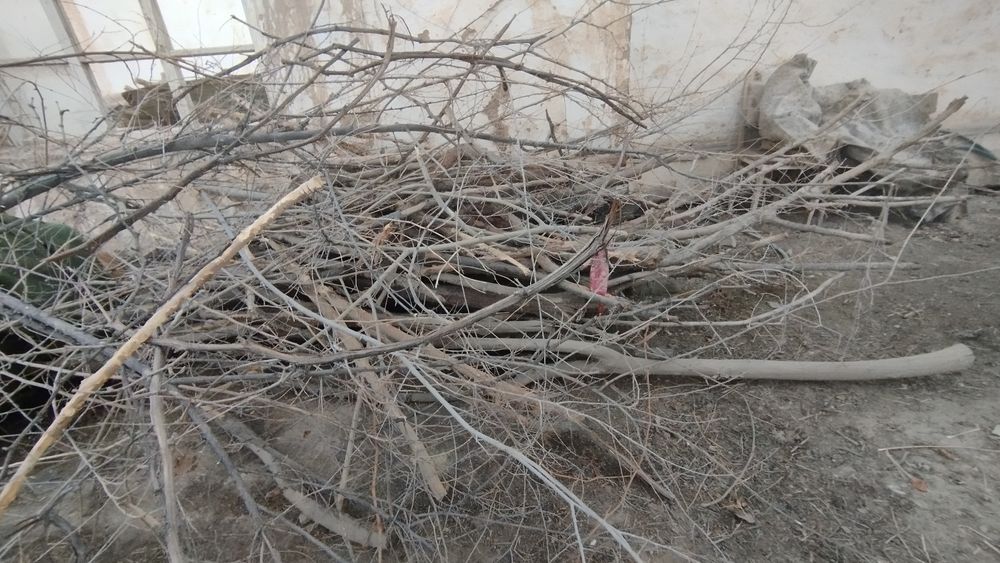 Утин сотилади. Урик ва олма ва тахталар