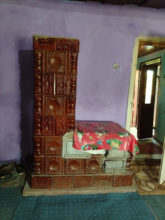 Proprietate cu 2 case și teren generos de 2900 mp