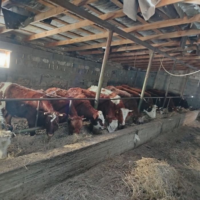 Продаётся крестьянская хозяйства