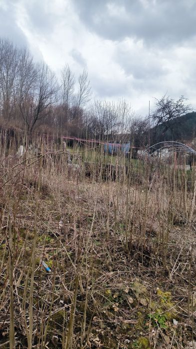 Продава се Парцел в с. Кралев дол, Област Перник - 625 кв.м за 41 €/кв.м - Снимка #6