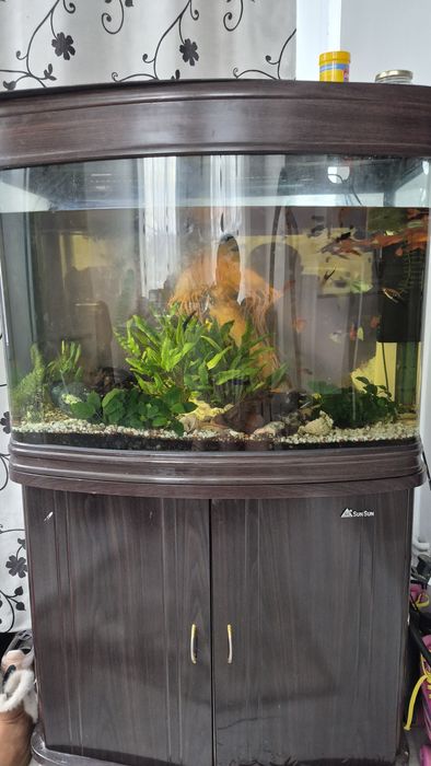 Vand acvariu complet