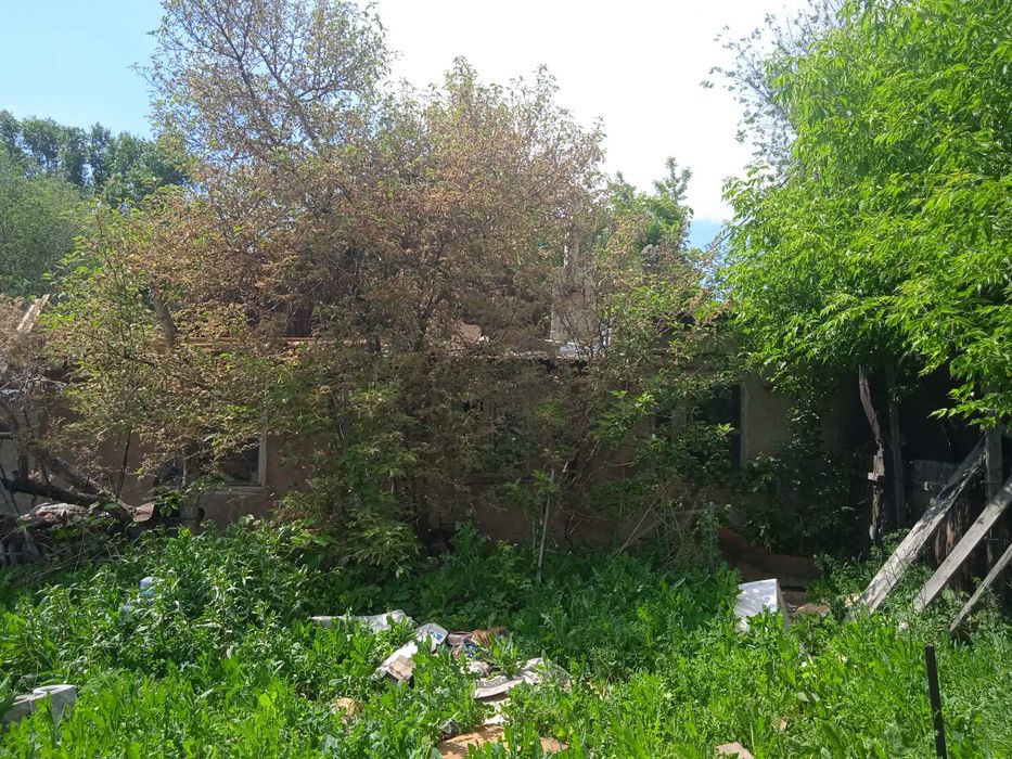 Дом отдельно стоящий