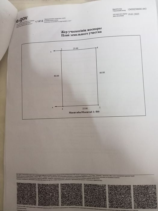 Злдд тигр прогюб