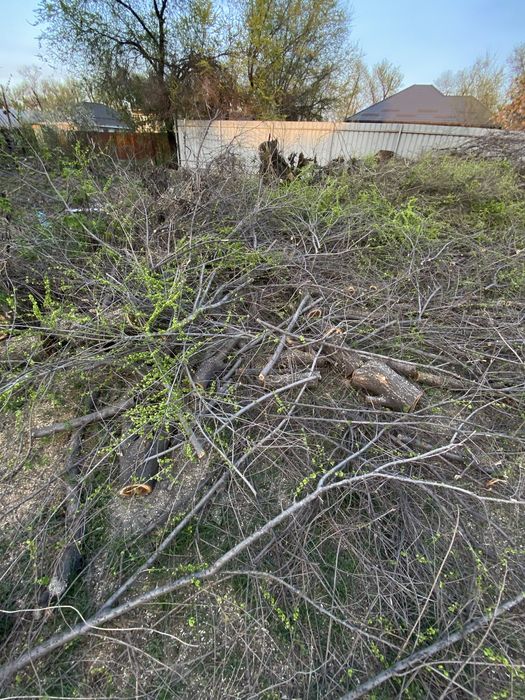 Продам дрова.