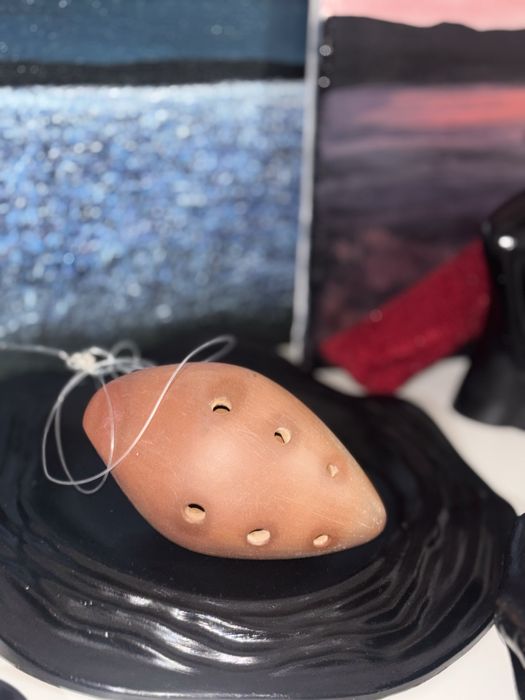 Частные уроки на дому с выездом по г.Алматы.