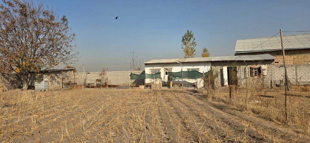 Продажа Нежилое 39 соток