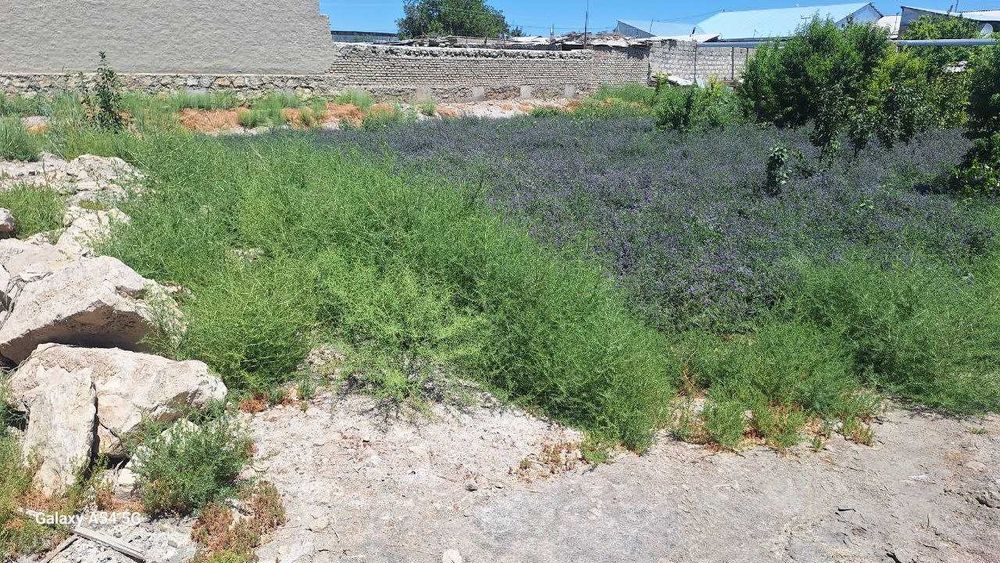 Когон шахар масла завод рупарасида 7 сотихли тугалланмаган курилиш.