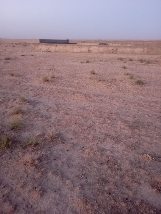 Yer sotiladi.sazagʻonda.voyne polegon tugʻrisida. 6-sotix