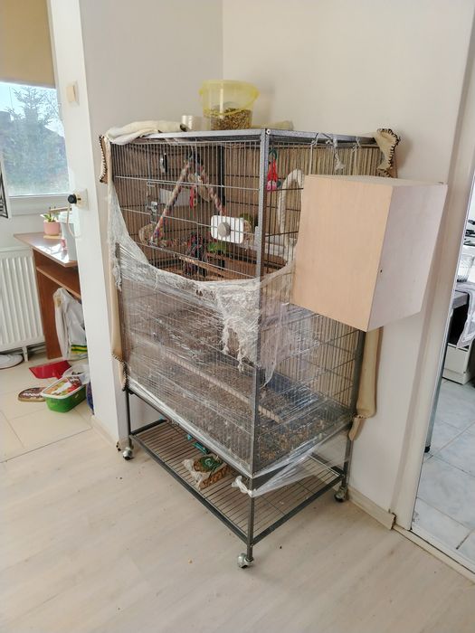 Vand colivie pt papagali