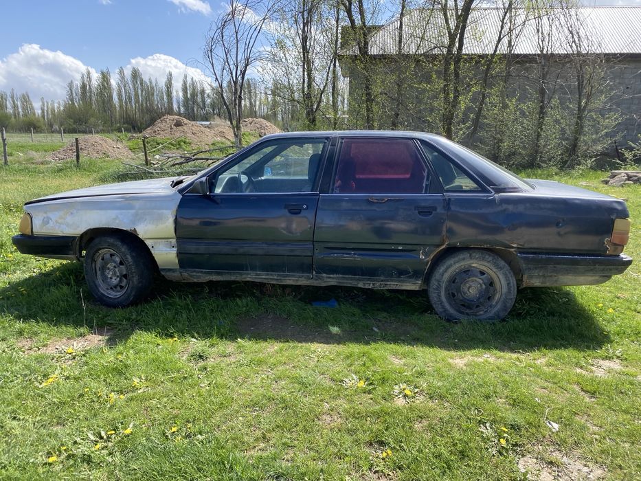 Ауди 100 алам деушілер болса