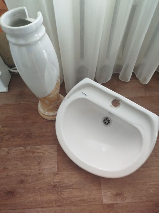 Раковина тюльпан