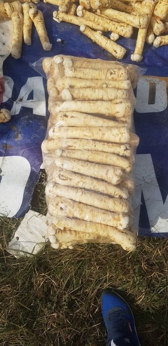 Vand hrean si usturoi