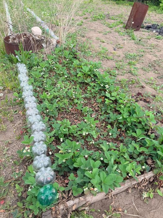 Продам дачу, сад.энтузиастов