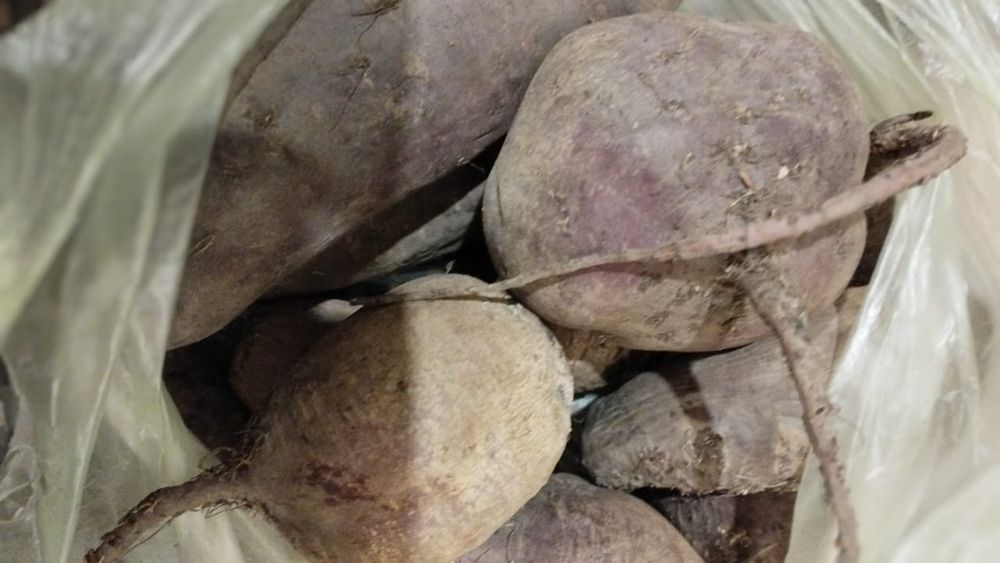 Продам картофель домашний