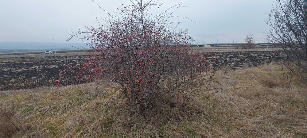 Продава се Парцел в с. Храбърско, Област София-област - 2923 кв.м за 20 €/кв.м - Снимка #1