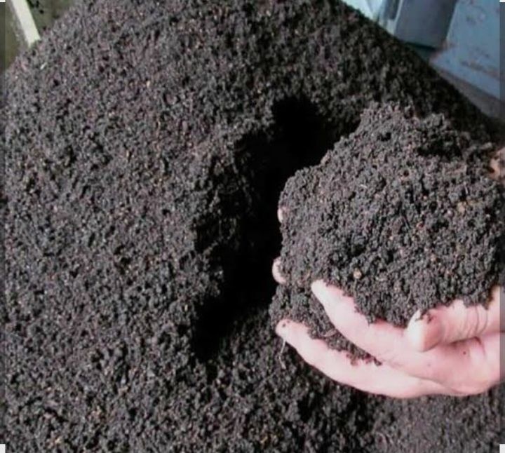 Biogumus sotaman sifati alo darajada