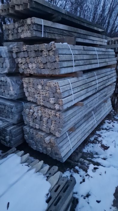 Spalieri 2.5m, 2.6m, 2.8m Italia