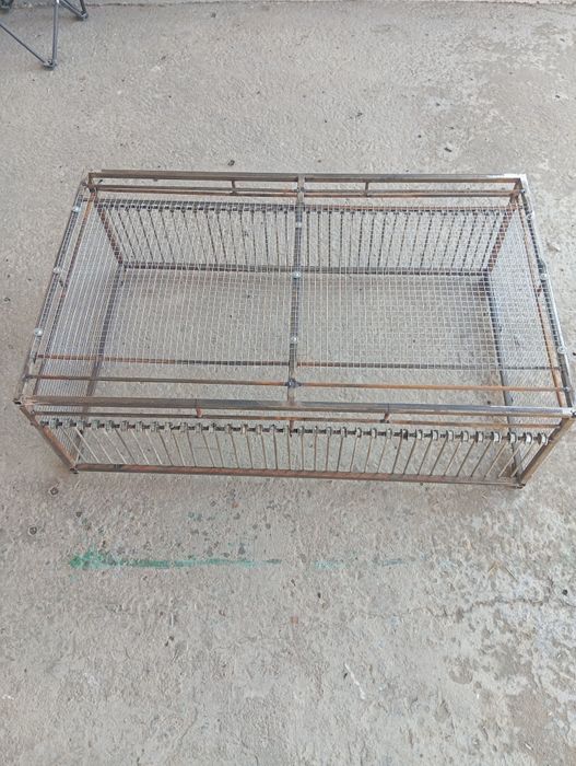 Птицы Голуб клетки