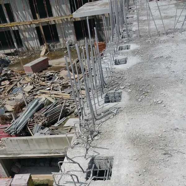 curățenie, moloz mobila ,debarasări apartamente pivnițe garaje Curatam pomi tăiem ( tundem )