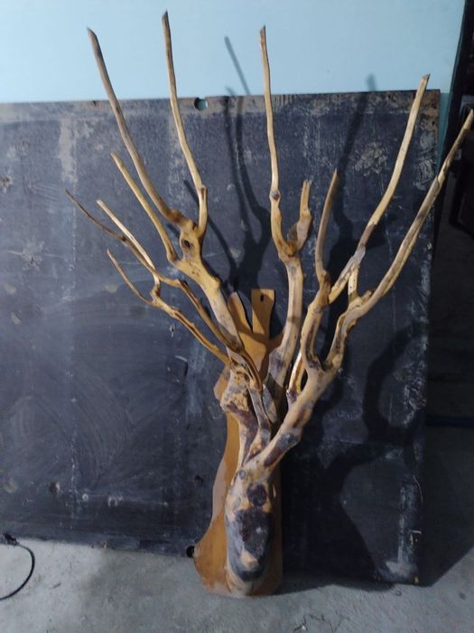 Рога из тутового дерева