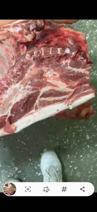 Мясо свинины продается