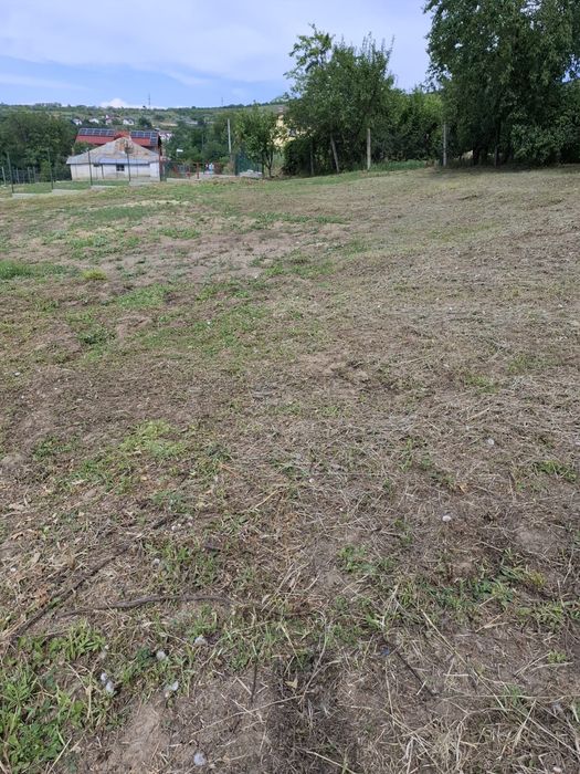 Teren intravilan Bucium