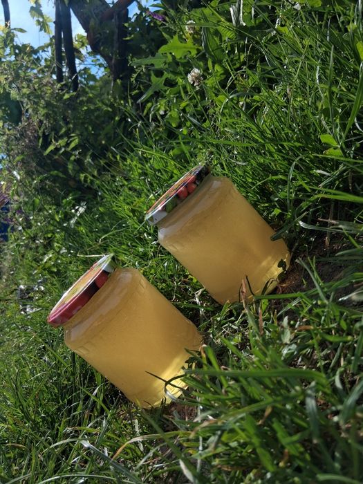 Miere de salcâm naturală