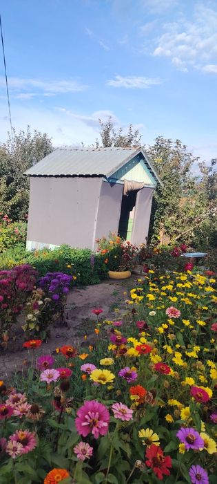 Продам дом город Алтай