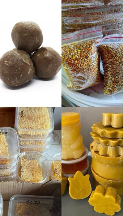 Мёд оптом Гречишный, донник, цветочный
