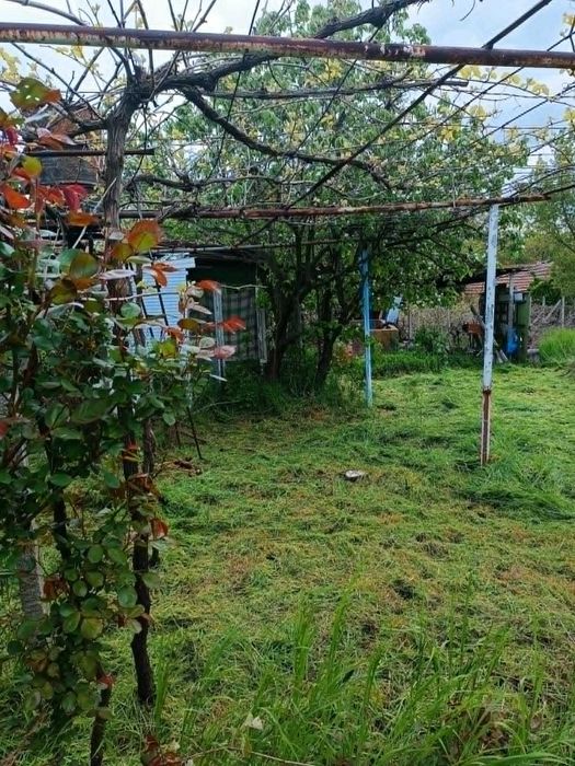 Стара каменна къща с двор 1 декар  - за ремонт