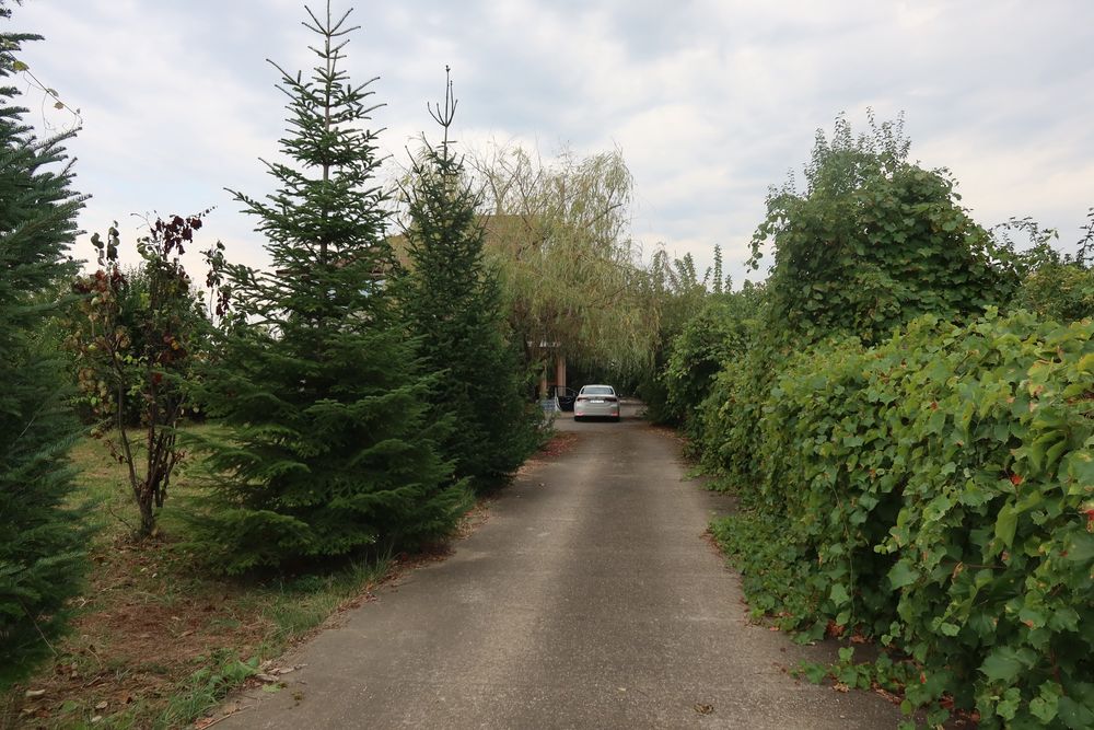 Casă de vânzare în Valea Călugărească – Aleea Cabernet | Teren 1.141 mp | 6 camere