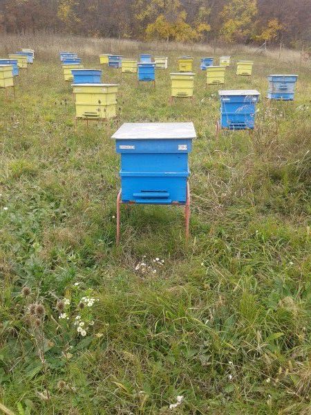 ТОП! Метални стойки за кошери