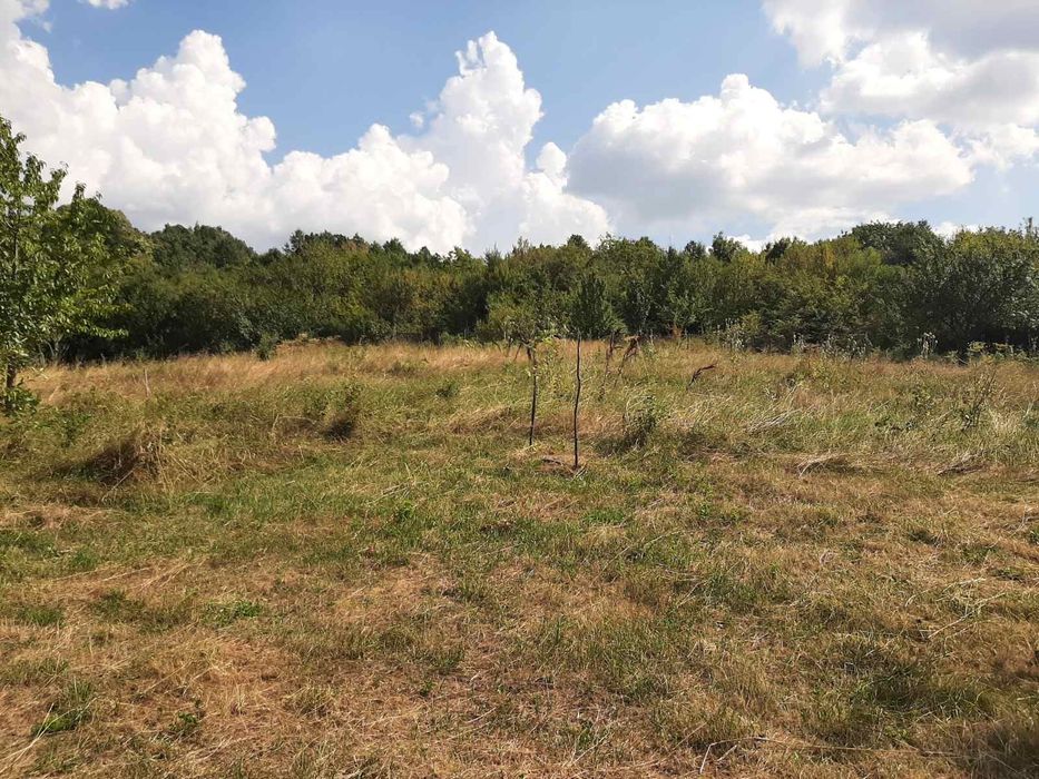 Продава се Къща в с. Халваджийско, Област Търговище - 116 кв.м за 604 €/кв.м - Снимка #10