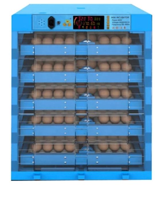 Инкубатор хизмати очириб берамиз