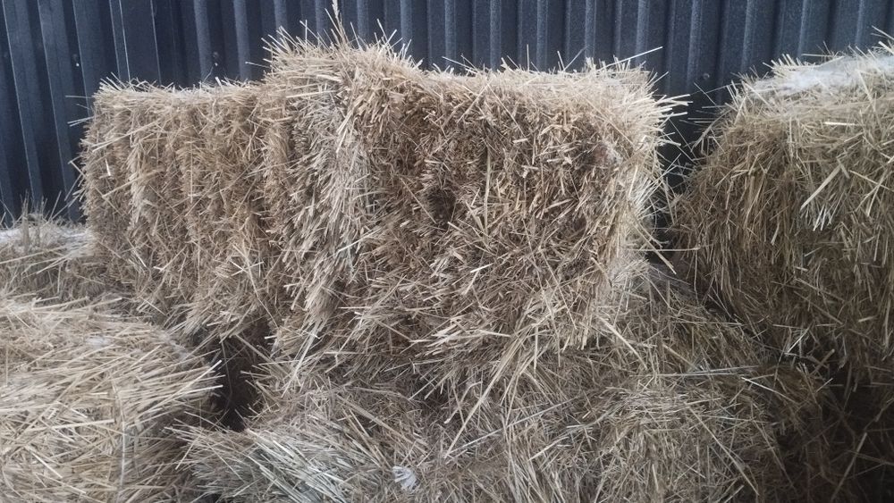 Табиғи шөп сатылады