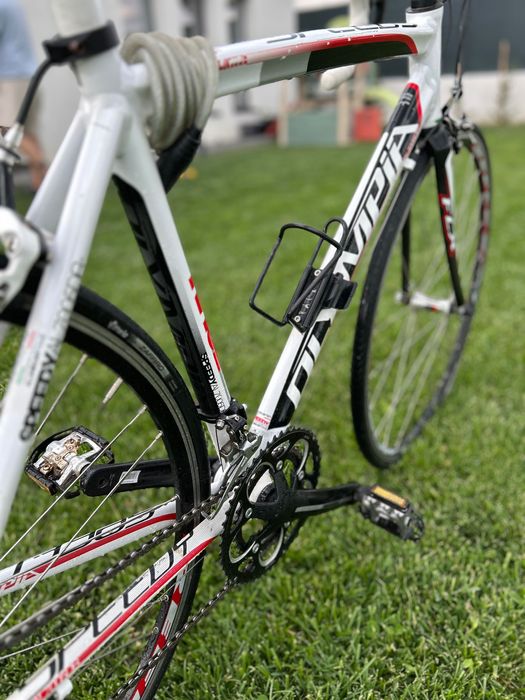 Cursieră Olympia Speedy Race AL7005DB, Campagnolo Veloce, Carbon, 54