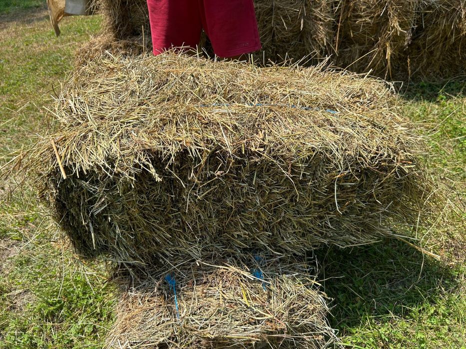 Baloții fân.