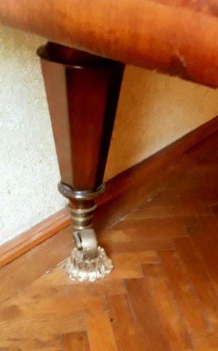 Pian vienez Emrich Betsy cu coada lunga