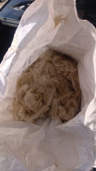 Ешкі жуні жаксы бағада кабылдаимын