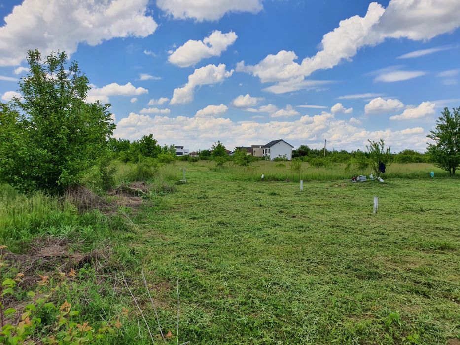 Teren Pipera proprietar