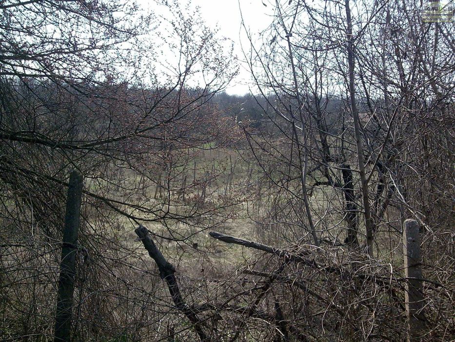 Продава се Парцел в Монтана, Парта 1 - 3720 кв.м за 6 €/кв.м - Снимка #8