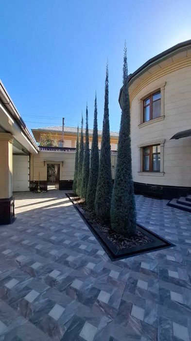 Стрижка газона стрижкаЕлок ландшафтный дизайн поливочная система gazon