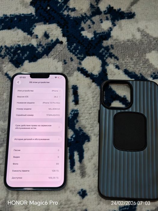 iPhone 13 pro max idial.