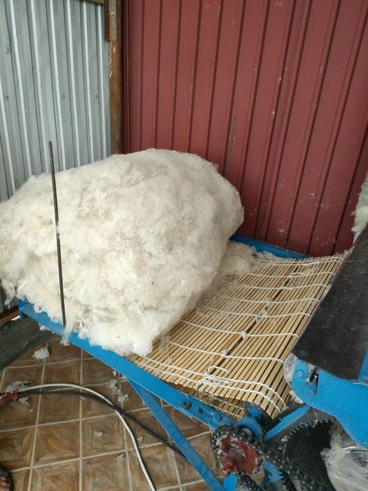 Түтілген жүн сатылады