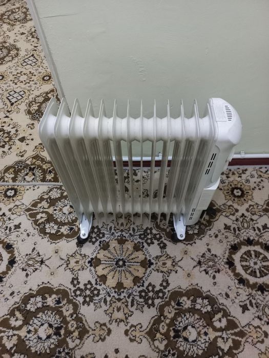 Maslini pech sotiladi arginal