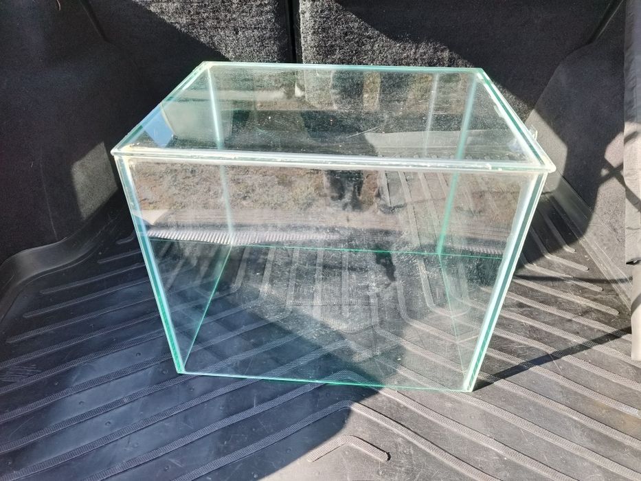 Acvariu, peste, hamster, sticla, cusca, colivie