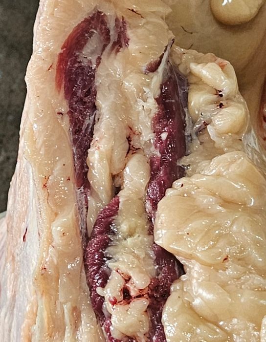 Конина с откорма