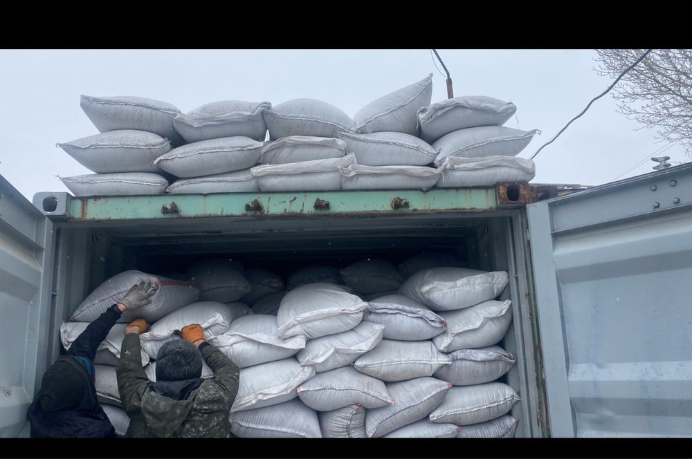 Суданка,суданская трава семена